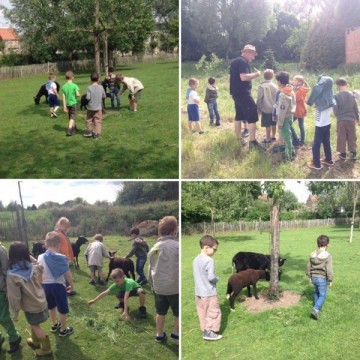  - Scouts en Gidsen Zaventem 